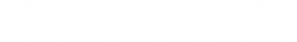 logo holygems white