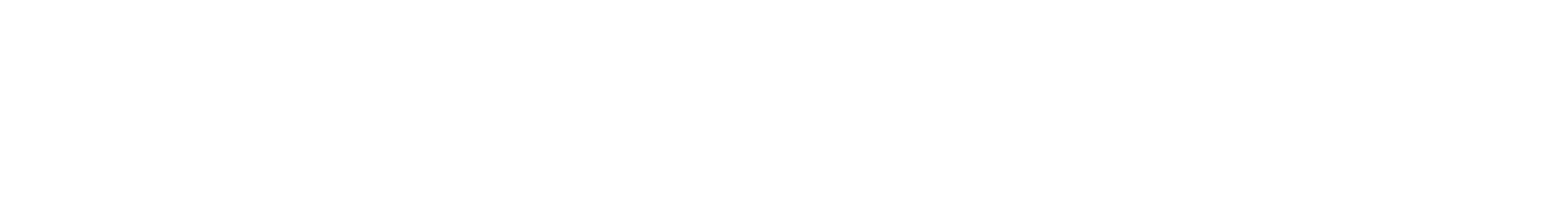 logo holygems white