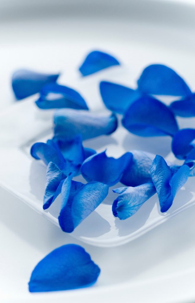 sapphire blossom